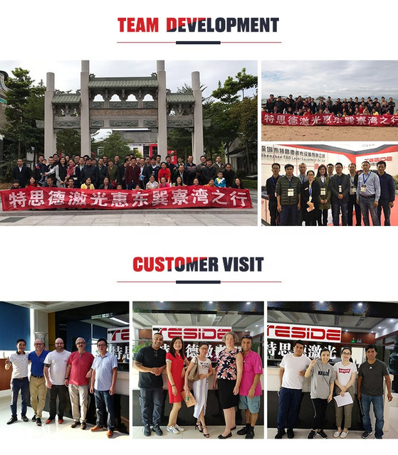 2500W TSD-LC2500-1218 High Speed Die Board Laser Cutting Machine for Plywood Cutting